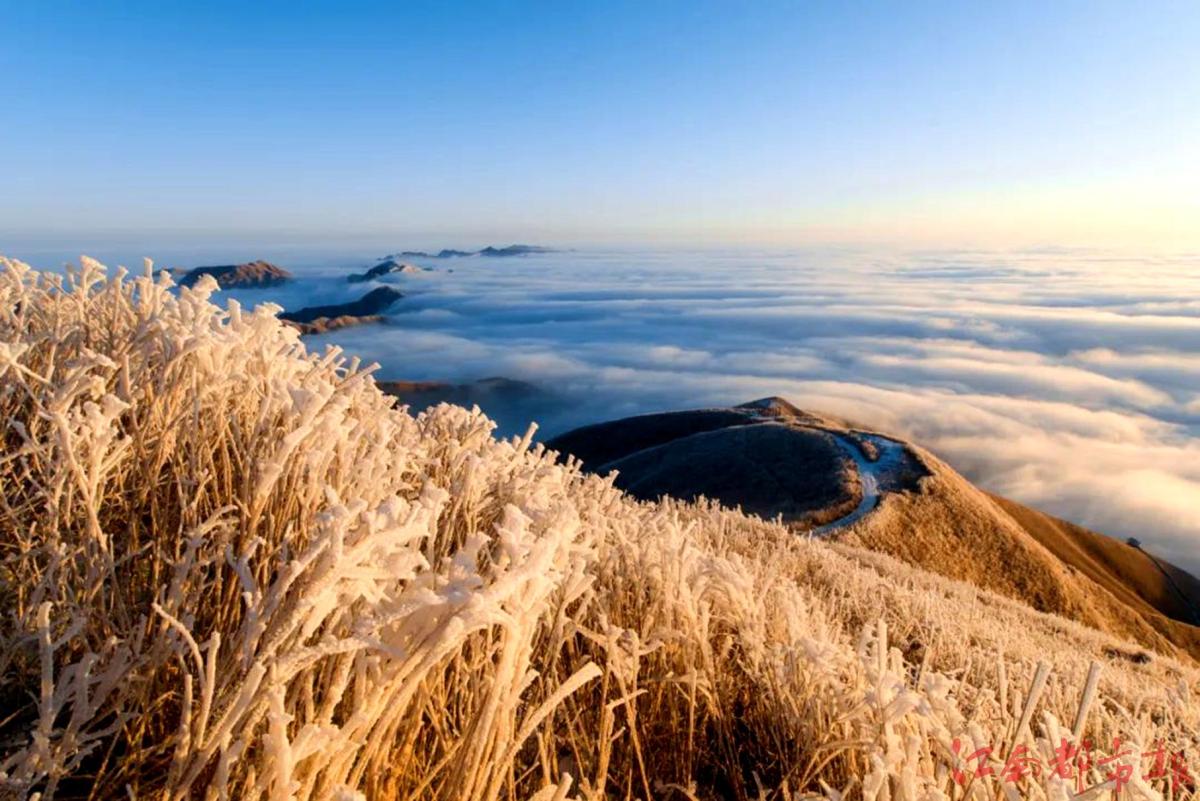 萍鄉(xiāng)武功山：霧凇云海，銀裝素裹